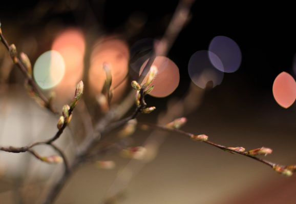 spring